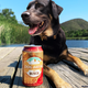 Busch Dog Brew